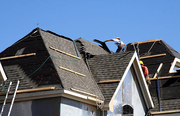 Best Gutter Installation and Roofing  in Bayonet Point, FL