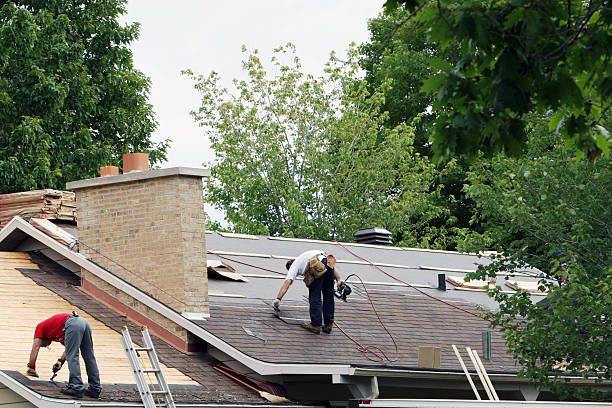 Quick and Trustworthy Emergency Roof Repair Services in Bayonet Point, FL
