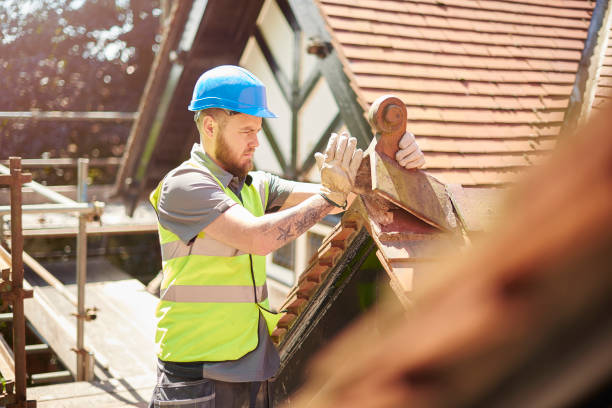 Best Roof Repair Services  in Bayonet Point, FL