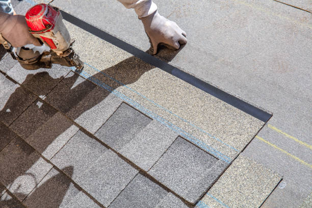 Best Roof Gutter Cleaning  in Bayonet Point, FL
